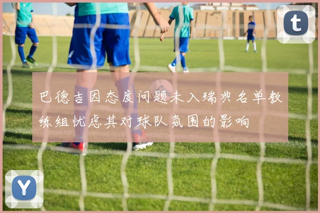 巴德吉因态度问题未入瑞典名单教练组忧虑其对球队氛围的影响